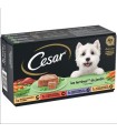 CESAR MULTIPACK RECETAS DE LA HUERTA 8X150GR