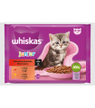 WHISKAS MULTI JUNIOR SELECCION CARNES 4X85GR