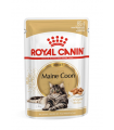 FHN WET MAINE COON 85GR