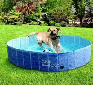 piscina para perros plegable Perro en verano Madagascar Mascotas