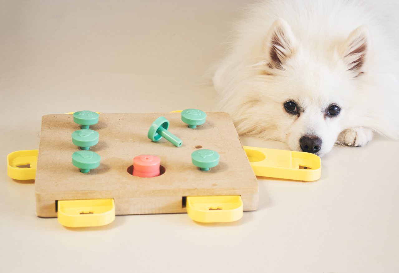 Juguetes interactivos para estimular la mente y olfato de tu perro