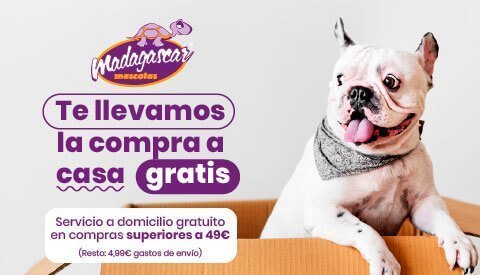 Comprar Accesorios Coche y Paseo para perros Online - MisMascotas